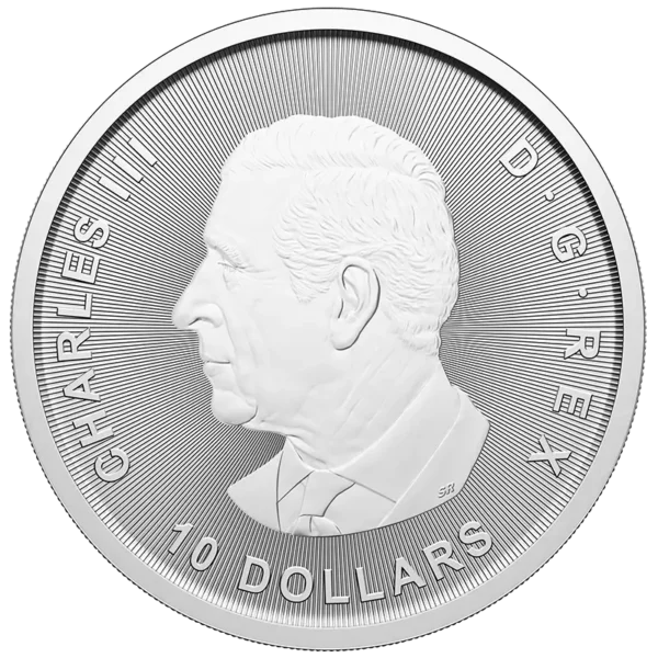2 oz Bull and Bear Silver Coin | 2025