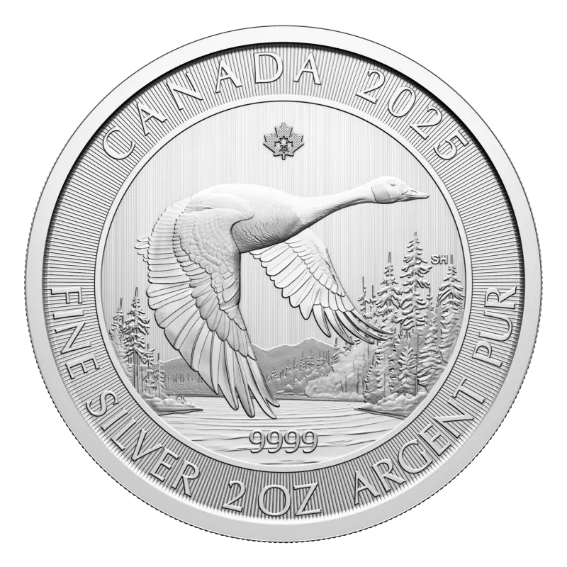 2 oz Canada Goose Silver Coin | 2025