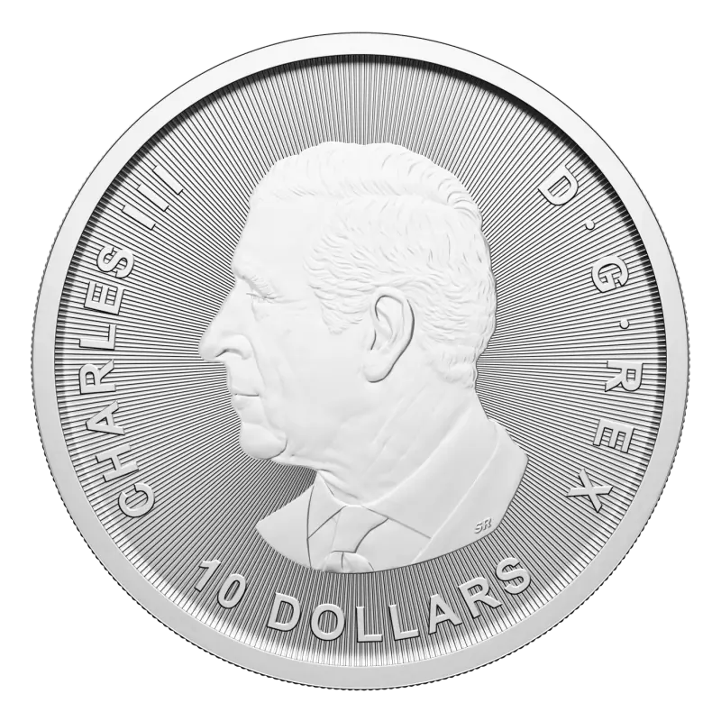 2 oz Canada Goose Silver Coin | 2025