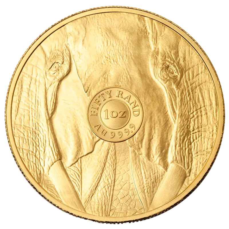 1 oz Big Five Elephant Gold Coin | 2025