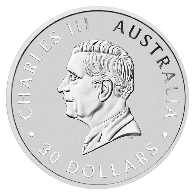 1 Kilo Koala Silver Coin | 2026