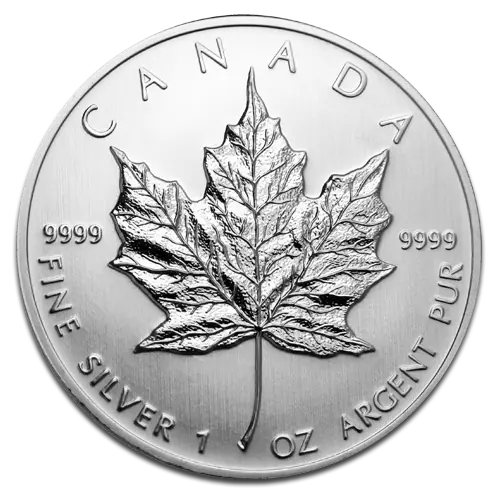 1 oz Silver Coin | Damaged