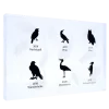German Native Birds - Gold Coins Box Complete Collection EMPTY