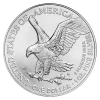 1 oz American Eagle Silver Coin | 2026
