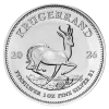 1 oz Krugerrand Silver Coin | 2026